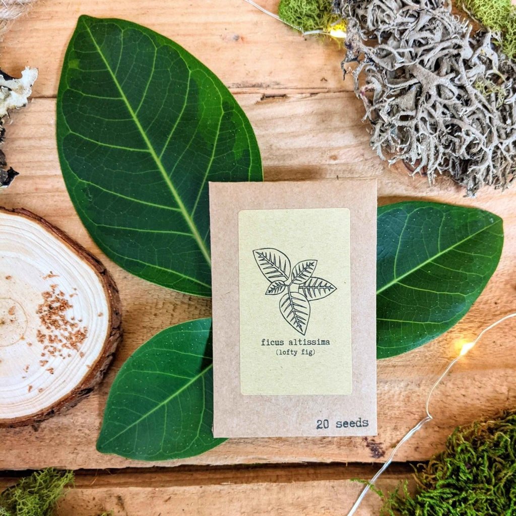 "The Popular Kids" Houseplant Seed Collection